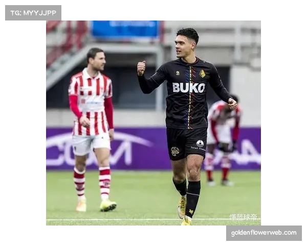 深度调查:德甲联盟发布四月财务公平法案审查报告,三支球队面临问询